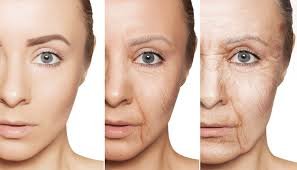 Como Ter Melhor Absorção do Colágeno: Guia Completo